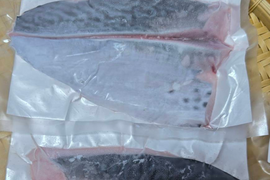 ﾓﾆﾀｰ価格　“媛スマ冷凍皮付ロイン(340g~390g)×２パック”【1尾相当/箱】