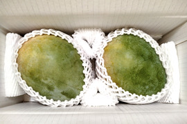 【8月発送】伊江島産キーツマンゴー（家庭用・2kg・2〜3個入り）