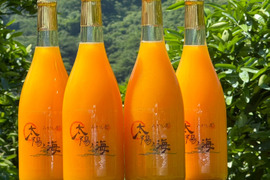 愛媛のみかんジュース☆ 4本セット