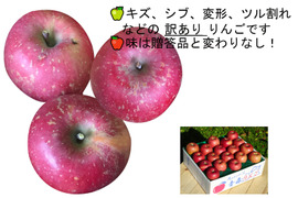 ❖* 旨いだけ *❖　訳アリ<サンふじ> 約５kg
