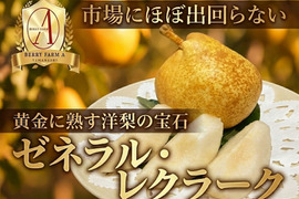 【市場に滅多に出回らない】銀座千疋屋元チーフパティシエ監修【果匠ブランド洋ナシ】黄金に熟す洋梨の宝石🍐ゼネラル・レクラーク🍐約1.5kg【秋ギフト】【2026年10月下旬予約】