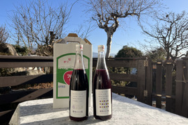 【冬ギフト】ワイン用ぶどうで作ったジュース　赤2品種各1本　飲み比べセット　720ml✖️2本
