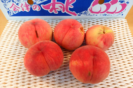 【訳ありB品】お買い得！品種おまかせ　大箱13〜16玉（約４.５kg）【7月15日頃〜8月10日頃まで販売】