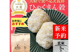 日本農業賞大賞受賞 令和８年産ひゃくまん穀5kg×2袋玄米