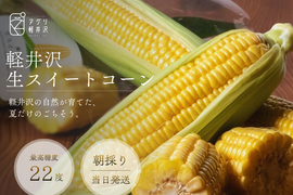 『夏ギフト』軽井沢生スイートコーン8本・1本ずつ鮮度保存袋に♪　
1ヶ月しか収穫できない希少なとうもろこし　
美味しい食べ方ガイド付き☆　贈って嬉しい！貰って嬉しい！