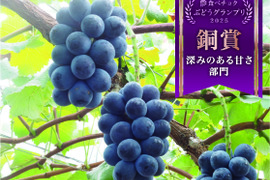 【贈答用】種なし・皮ごと食べられる！岡山県産『ナガノパープル』900g（2～3房）