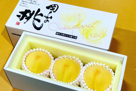 🍑岡山の桃　ゴールデンピーチ【贈答用大玉3玉】