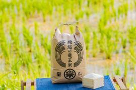【冬ギフト】【玄米10kg】特別栽培米！1750年から続くお米農家が作ったきぬすめ『縁起の竜王米』　滋賀県竜王町産 お米
