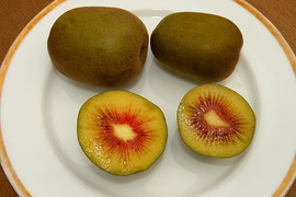 【数量限定!ご予約販売始まりました!!】最も甘い!!赤いキウイ!低農薬栽培で育った紅鮮(こうせん)のセット販売 【熨斗対応可】M箱9個前後入り:MK