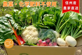 朝採れ新鮮野菜を信州の高原よりお届け！！旬の野菜セット７種（レギュラー）