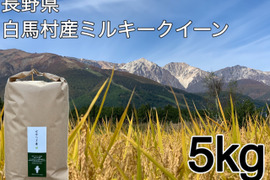 令和７年白馬産ミルキークイーン５ｋｇ