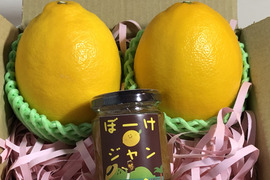 ギフト🎁こんなレモン出会ったことがない‼️有機八丈島レモン　ギフト特大2個・黒酢ジャムとプレゼント付
東京都GAP取得！
