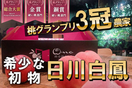 🎊全国桃グランプリ3冠小野桃園ブランド🎊毎年争奪戦となる日川白鳳シーズン初物で希少価値が高騰し続けるジューシースプラッシュ日川白鳳一流レストラン御用達1kgお試し特価ももキャンペーン【朝どれ】