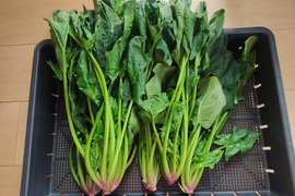 ✨加熱で本領発揮！完熟ほうれん草！ドカンと爆盛り2.5kgセット｜炒め物・おひたしに◎（農薬・化学肥料不使用）✨