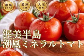 🍅有名レストラン御用達🍅ギリギリまで完熟させた濃厚大玉の潮風ミネラルトマト100年の伝統が生んだ奇跡の結晶『渥美半島ブランド』【6月上旬発送】