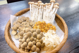 【新品種】花びら茸入り！信州きのこ4種詰め合わせ