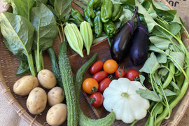 太陽の恵みをめいっぱい！季節の野菜セット【10品目】＃栽培期間中農薬・化学肥料不使用