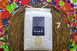 米・穀類🥇１位受賞✨食べチョクAW2023・一等米【令和６年産】【特別栽培米コシヒカリ】【 7分づき精米 5kg】天然資材＆有機質肥料のみ・動物性堆肥不使用・低農薬（80％以上減）