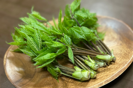 旬をいただく！愛知県豊田市旭産　コシアブラ 300ｇ