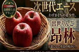 🍎若き出世頭高級りんご昂林🍎食べると早く出世する？！絶対王者ふじを担う若きエース～品種指定キャンペーンお得な大容量パッケージ～🍎秋ギフト🍎【家庭用・贈答用】【10月中旬予約】