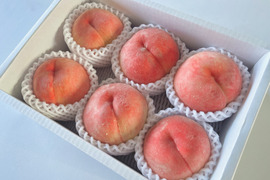 《旬の白桃》家庭用 2kg