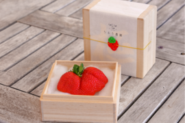 特大あまおう苺「極」80g