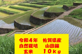 【新年度セール】【10名限定：20%引き】玄米１０kg！完全自然栽培の美味しいお米！令和４年度！佐賀県産「山田錦」