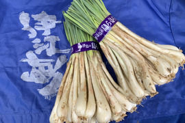 OSAKA様　島らっきょう　3kg+300g OSAKA様 島らっきょう 3kg+300g