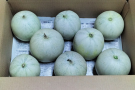 完熟プリンスメロン 約4kg 芳醇な香りと濃厚な風味。昔懐かしい味わい
