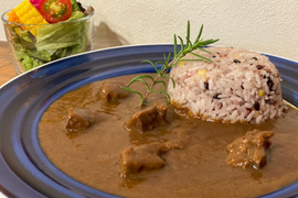 【一流シェフ監修】自宅用　鹿肉たっぷり極上のジビエレトルトカレー