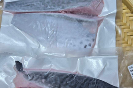 ﾓﾆﾀｰ価格　“媛スマ冷凍皮付ロイン(300g~330g)×4パック”【2尾相当/箱】