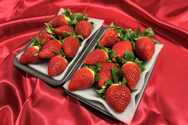 てぃあらふぁーむが届ける赤い宝石「いちごさん」大玉1箱約500g