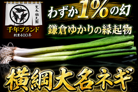 💡満天☆青空レストラン出演💡100本に1本しか収穫できない幻の【横綱大名ネギ】400年の土壌にギリギリまで眠らせた結晶【冬ギフト】