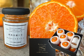 【夏ギフト】【お中元】薄皮で果汁たっぷり！冷やしてやみつき！「とろける甘さのハウスみかん約１ｋｇ」＆果皮不使用！「贅沢果肉たっぷりみかんの生ジャム120g1瓶」詰め合わせ　黒化粧箱　【商品番号80】