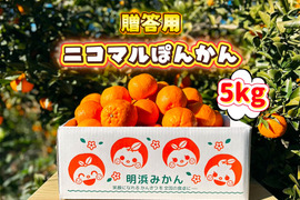 【愛媛県産】季節限定　甘味がギュッと詰まったポンカン　贈答用　5ｋｇ