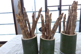 今年も残り３セット限りとなりました。
『激レア』　タラの芽の原木８本と手作り竹花瓶のセット
春を一足先に告げる南国の木の芽です