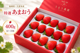 【予約販売 2026年11月下旬～順次発送】特選あまおう 400ｇ ギフト お歳暮