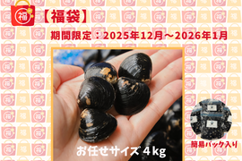 【福袋】漁師直送！宍道湖産ヤマトシジミ・冷凍4kg（ご家庭用・お任せサイズ）