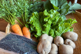 奥出雲産自然栽培野菜セット