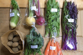 <12月12日(土) にお届けします！・数量限定> 【無農薬】採れたての旬の野菜＊小(5-8品目)