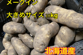●じゃがいも メークイン 大きめサイズ　●10キロ ●北海道 ジャガイモ