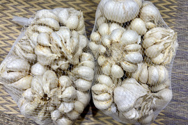【訳あり】<令和8年産>くわはら農園の熊本マイルド(乾燥)にんにくL玉1kg(15個-18個くらい)　農薬・化学肥料不使用