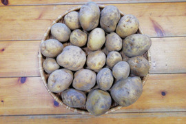 ジャガイモ(キタアカリ)2.5～３㎏程度【農薬化学肥料不使用】【合わせ買い可】【熨斗(のし)対応可】