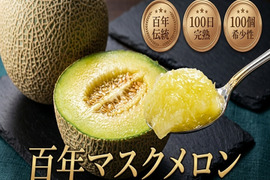 🍈農業王国が生んだ百年マスクメロン🍈【お中元ギフト】農業算出額日本一100年の伝統が生んだ奇跡の結晶『百年マスクメロン』『贈答・家庭用にも』【7月下旬予約】
