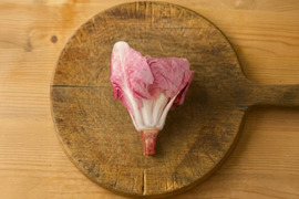 北イタリア生まれの華やかな苦味野菜／チコリア・ローザ（Cicoria Rosa）／
2個（約300〜350g前後）
