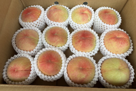 桃🍑　訳あり　3kg