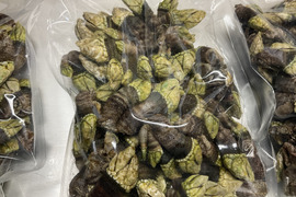 【謹製】カメノテ/酒茹で/200g/無添加調味料使用【調理済み】【冷凍】