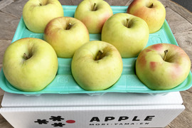 すぐに発送🚚特別栽培認証取得のぐんま名月3kg 甘くて香り良し✨農薬5割減＋化学肥料不使用 もちろんネオニコフリー 皮ごとおいしい♪ 訳ありご家庭用🏠人気品種 今が旬 おすすめ