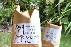第一次予約‼️ 令和8年産 新米 長野県上田産コシヒカリ 4.5kg(白米)  農家直送 おむすび お弁当に もっちり食感