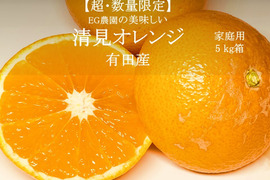 【初解禁！】糖度最高クラス！清見オレンジ 有田産 5キロ箱 和歌山県 有田 2S~3Lサイズ　家庭用キズあり